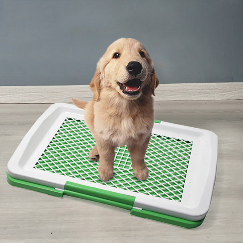 Large Small Size Pet Toilet With Plastic Stainless Steel Tray