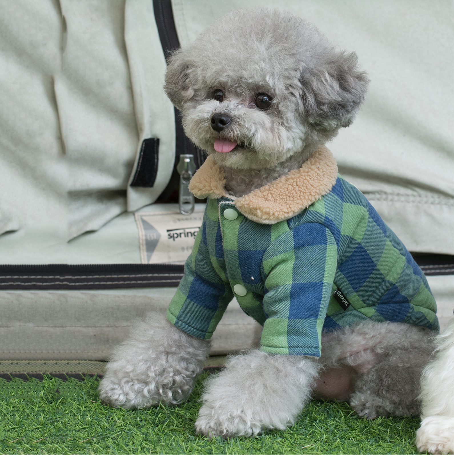 Dog Winter Coats Cotton Jumpsuit Pakaian Kostum Haiwan Peliharaan
