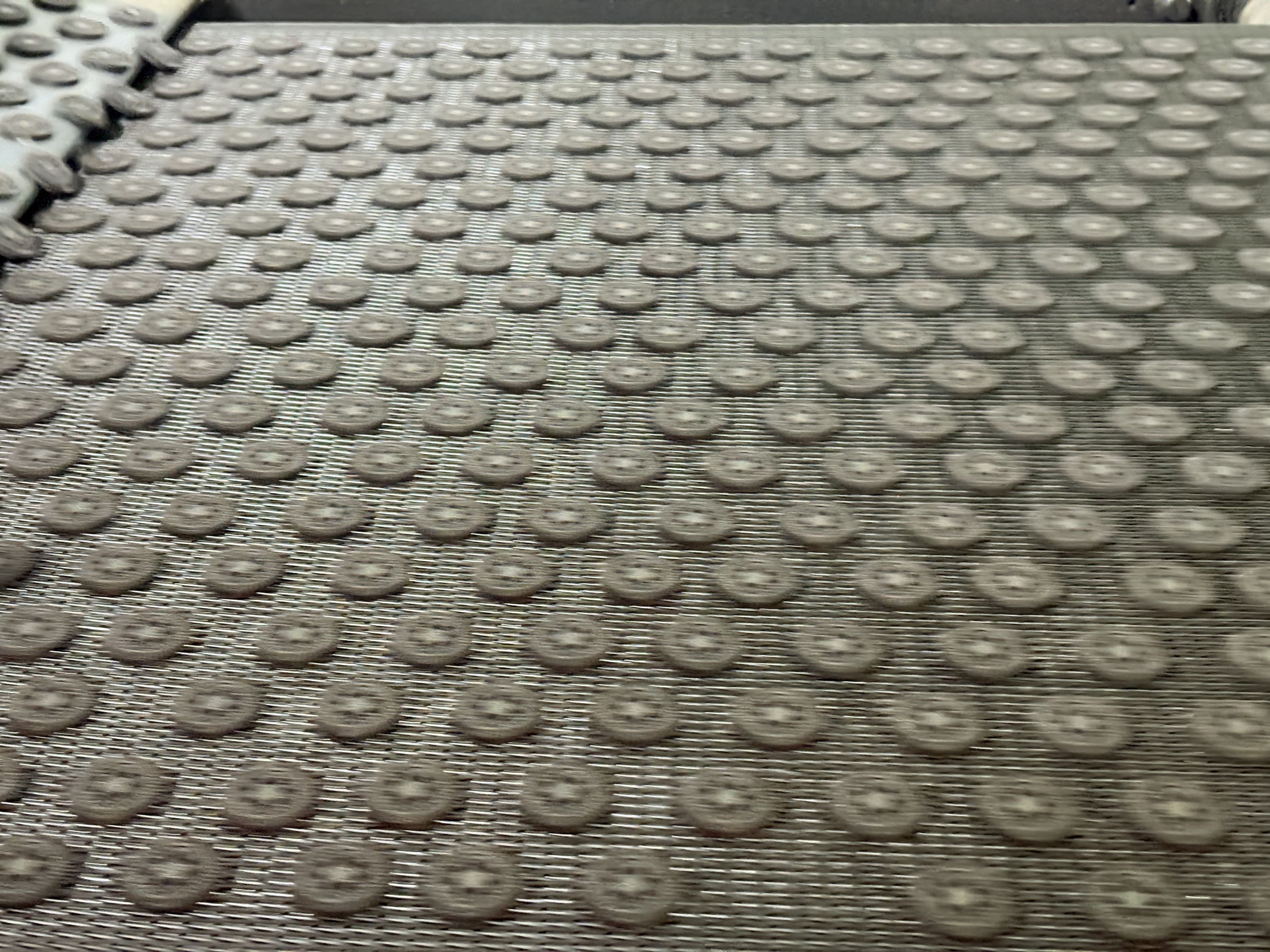 OEM Biscuits Customization