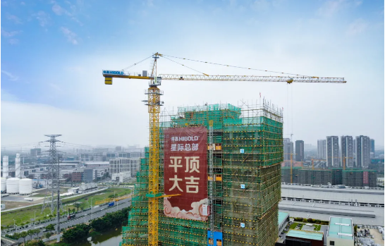 Guardia 315 con forza Guardia 315 con forza