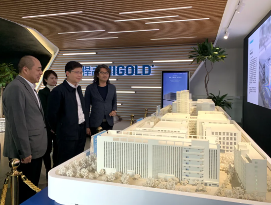 Il segretario Liu del distretto di Shunde ha visitato Higold per le indagini e la guida Il segretario Liu del distretto di Shunde ha visitato Higold per le indagini e la guida
