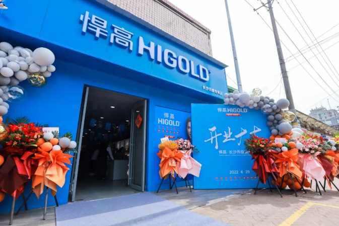 Conferenza sul tour dei nuovi prodotti Higold 2022 · La decima stazione, stazione di Changsha Conferenza sul tour dei nuovi prodotti Higold 2022 · La decima stazione, stazione di Changsha