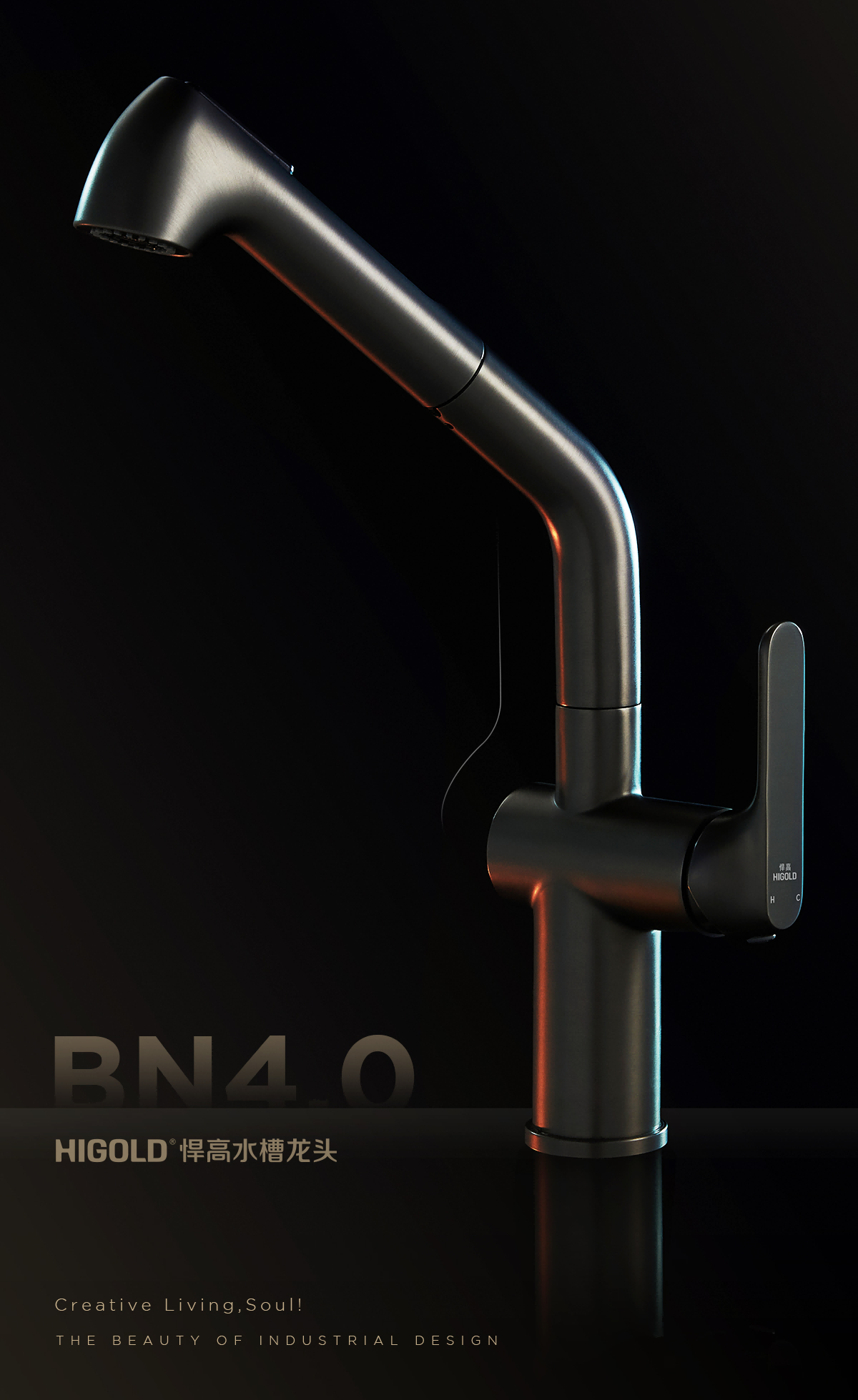kitchen pull out faucet