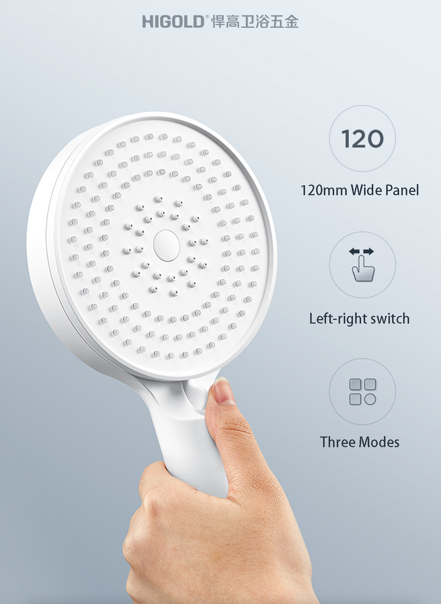 rain shower system with handheld