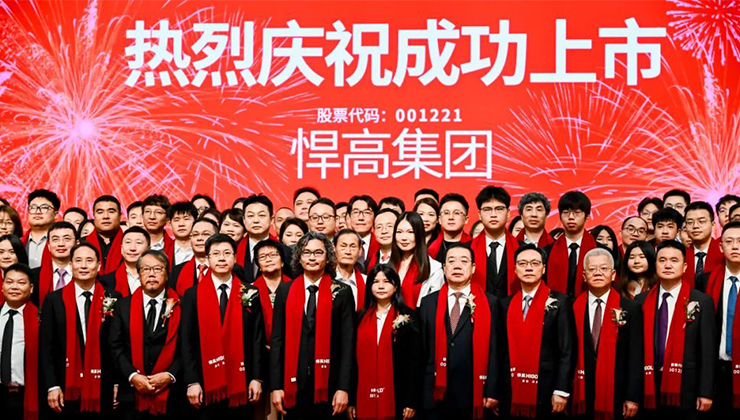 الطرح العام الأولي لأسهم الفئة أ لمجموعة هيجولد