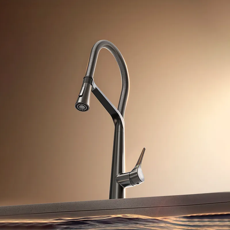 È possibile utilizzare un miscelatore a doppio flusso nel lavello della cucina? È possibile utilizzare un miscelatore a doppio flusso nel lavello della cucina?