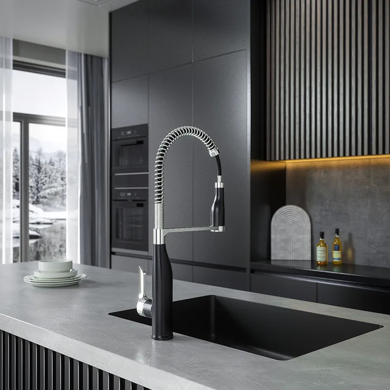 Black Kitchen Faucet