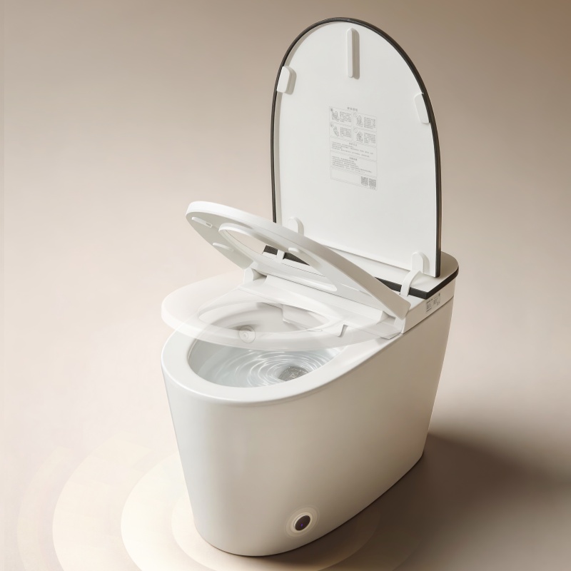 Inodoro LT4 Lite-Smart