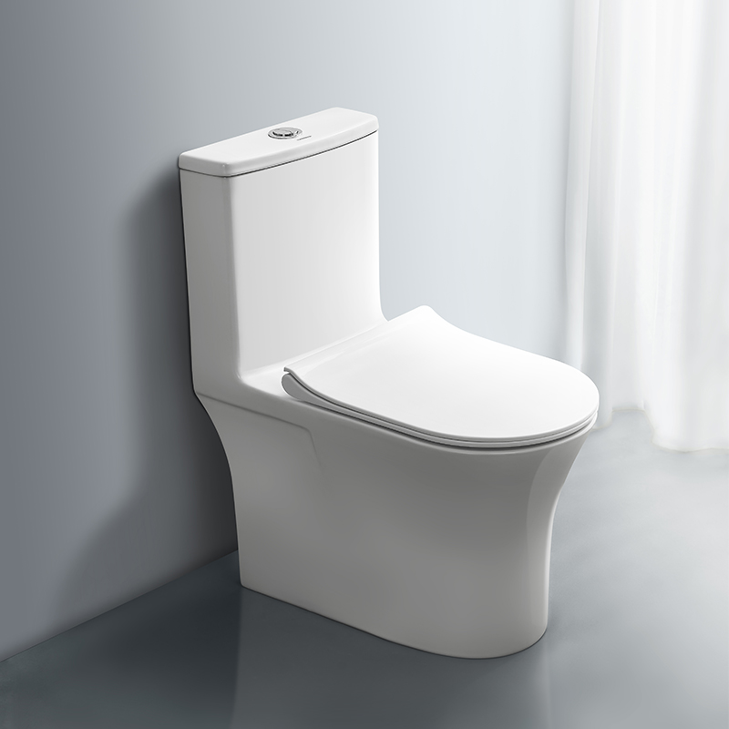 WC monoblocco serie HT1