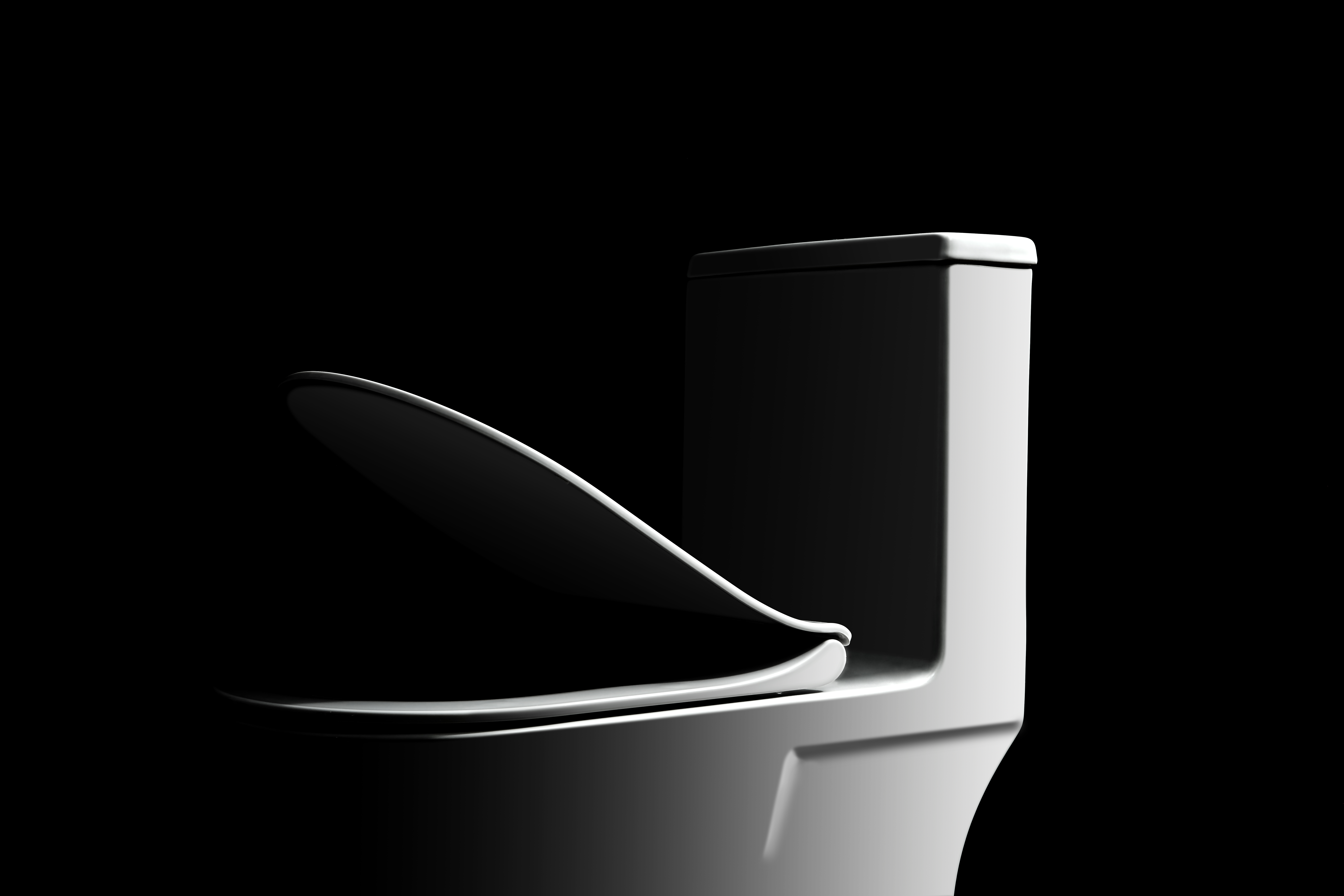 toilet toilet