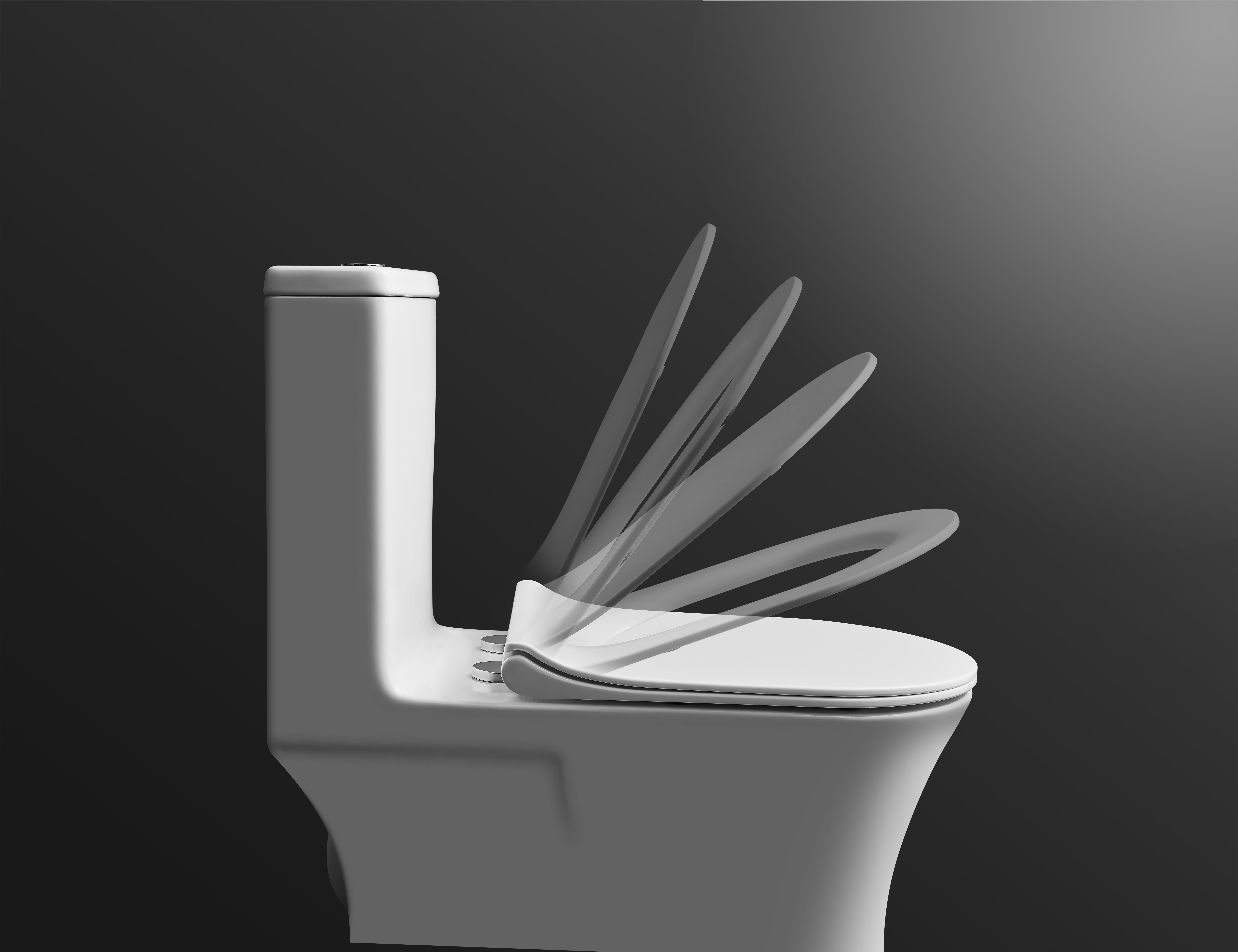 toilet toilet