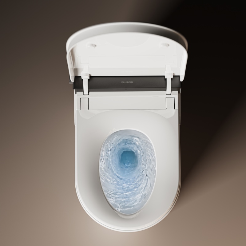 MT5 Series Smart Toilet