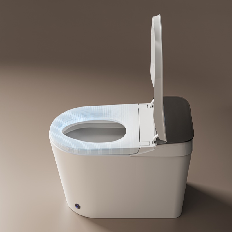 smart toilet