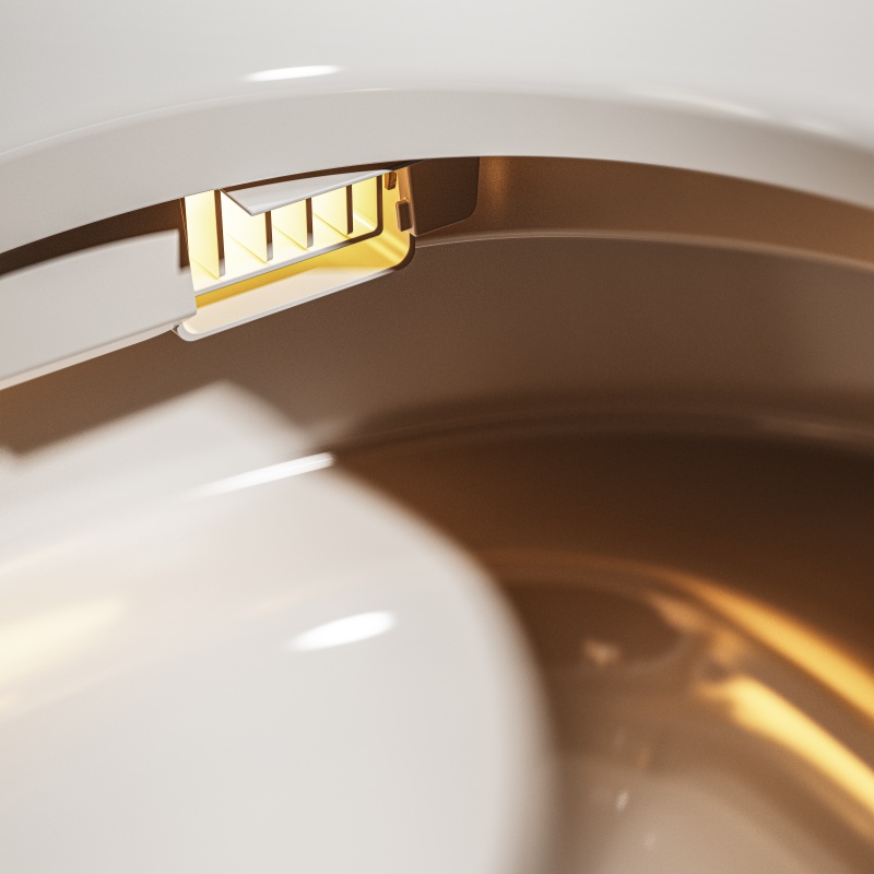 smart toilet