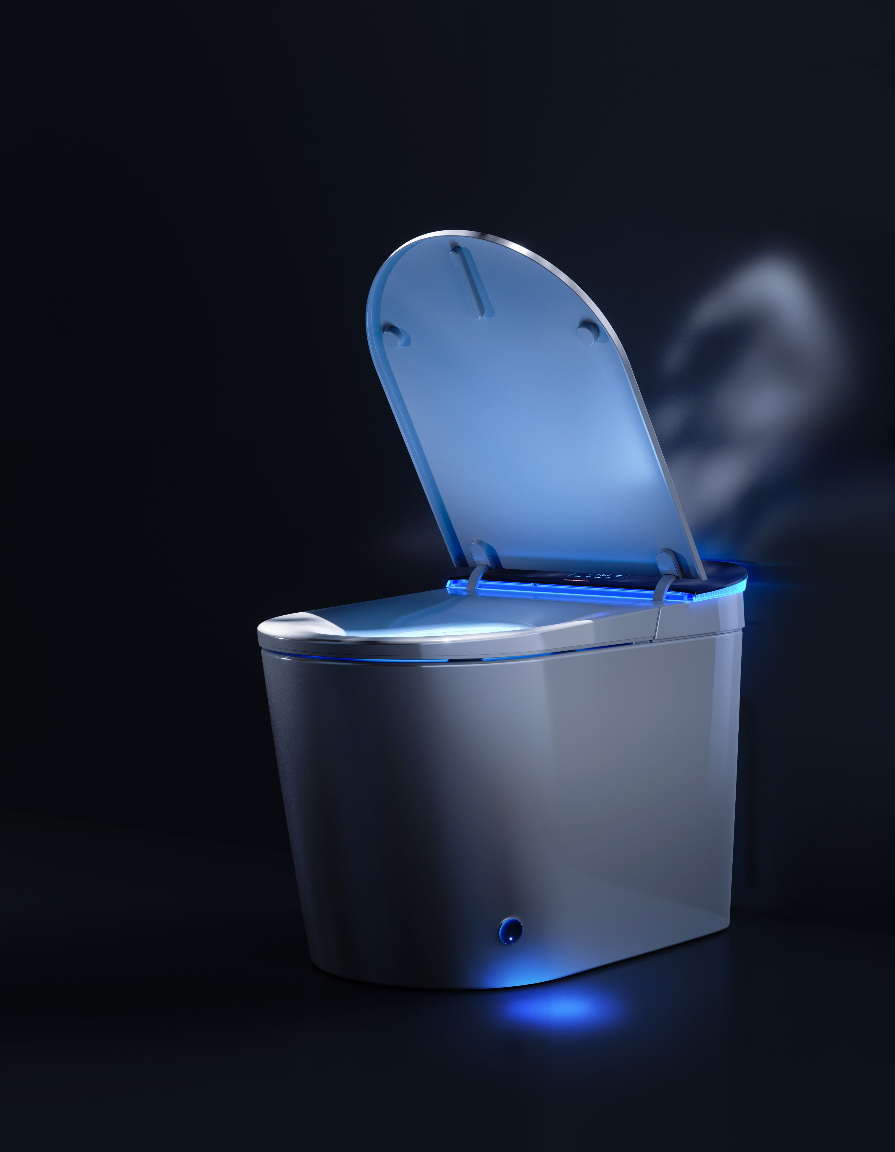 toilet toilet