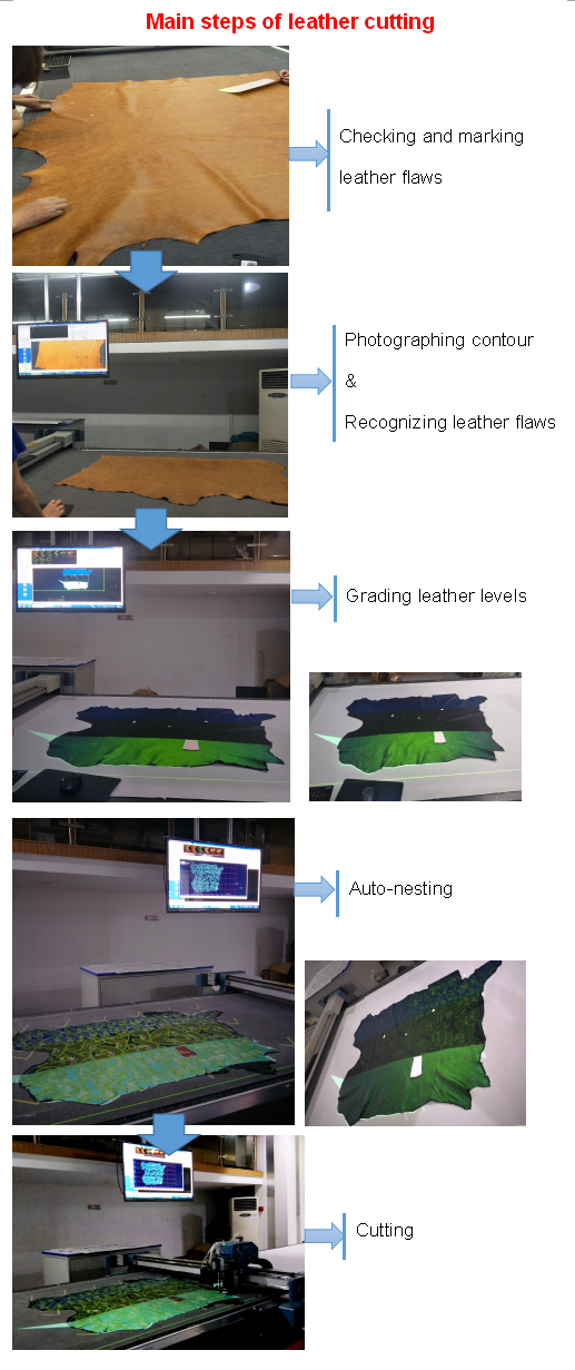 Oscillating knife cutting machine