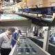 Máquinas de corte digital para bolsas com lâmina de corte