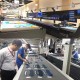 Máquina de corte automática de têxteis sem corte a laser