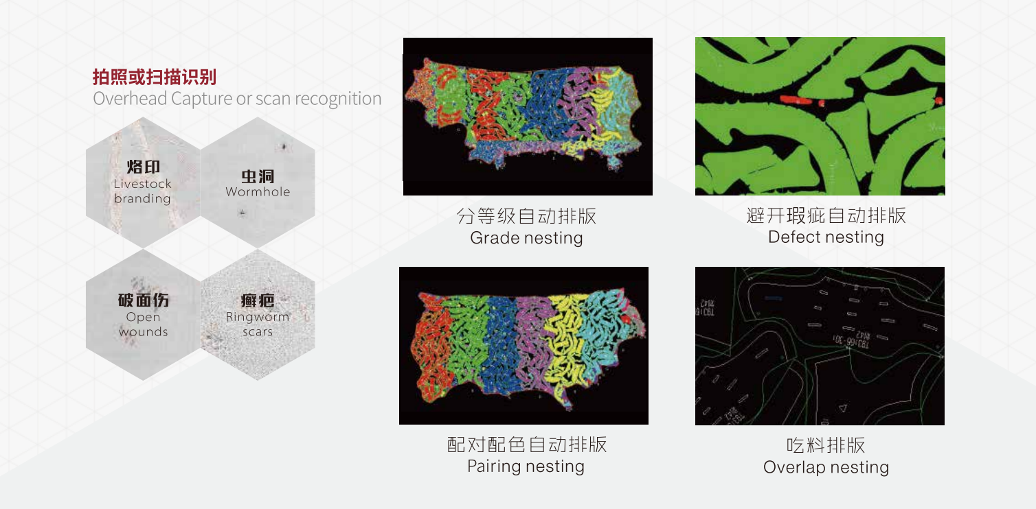 Automatic Leather Defect Detector