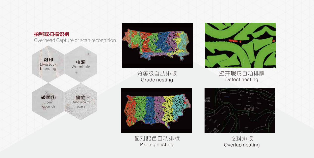 Automated Leather Inspection Machine