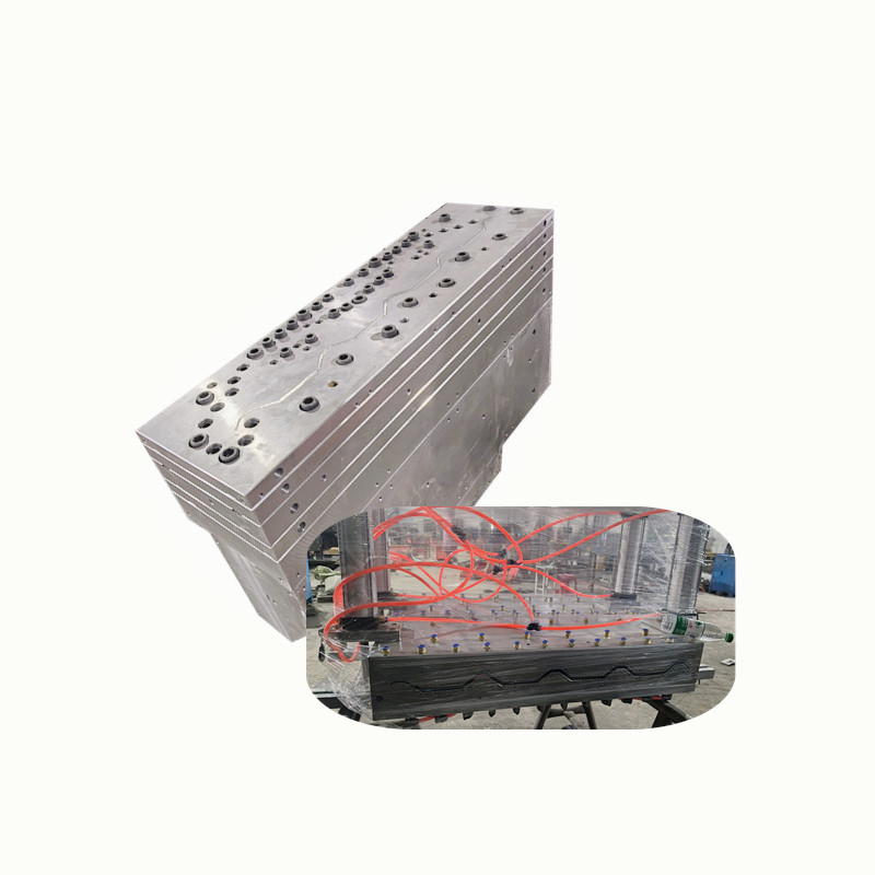 WPC Plastic Foam Extrusion Mold for wall panel