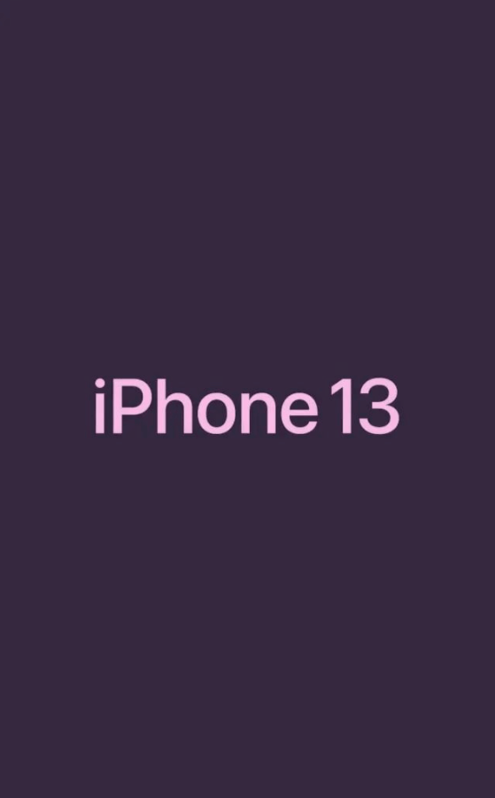 iphone 13 phone case