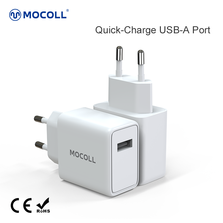 LION Series 12W Wall Charger for EU