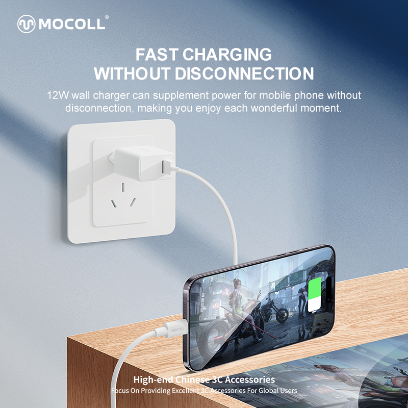 Wall Charger for EU