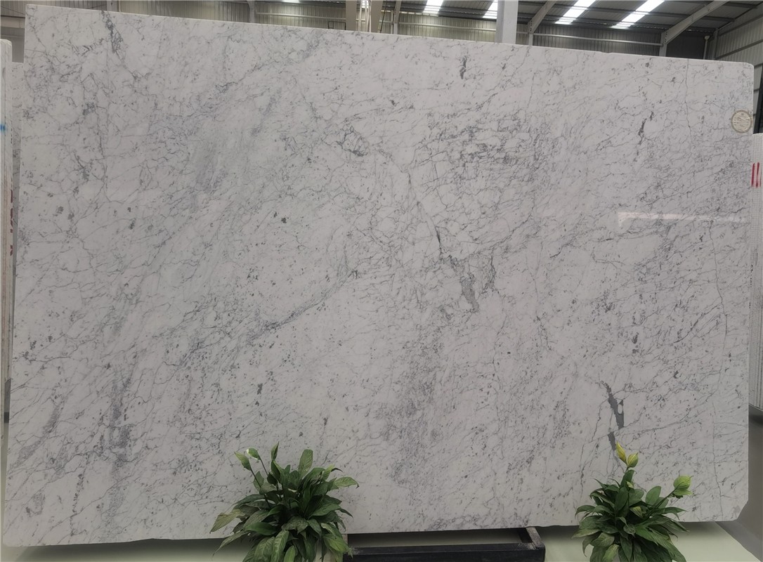 Italy Carrara Bianco Marble