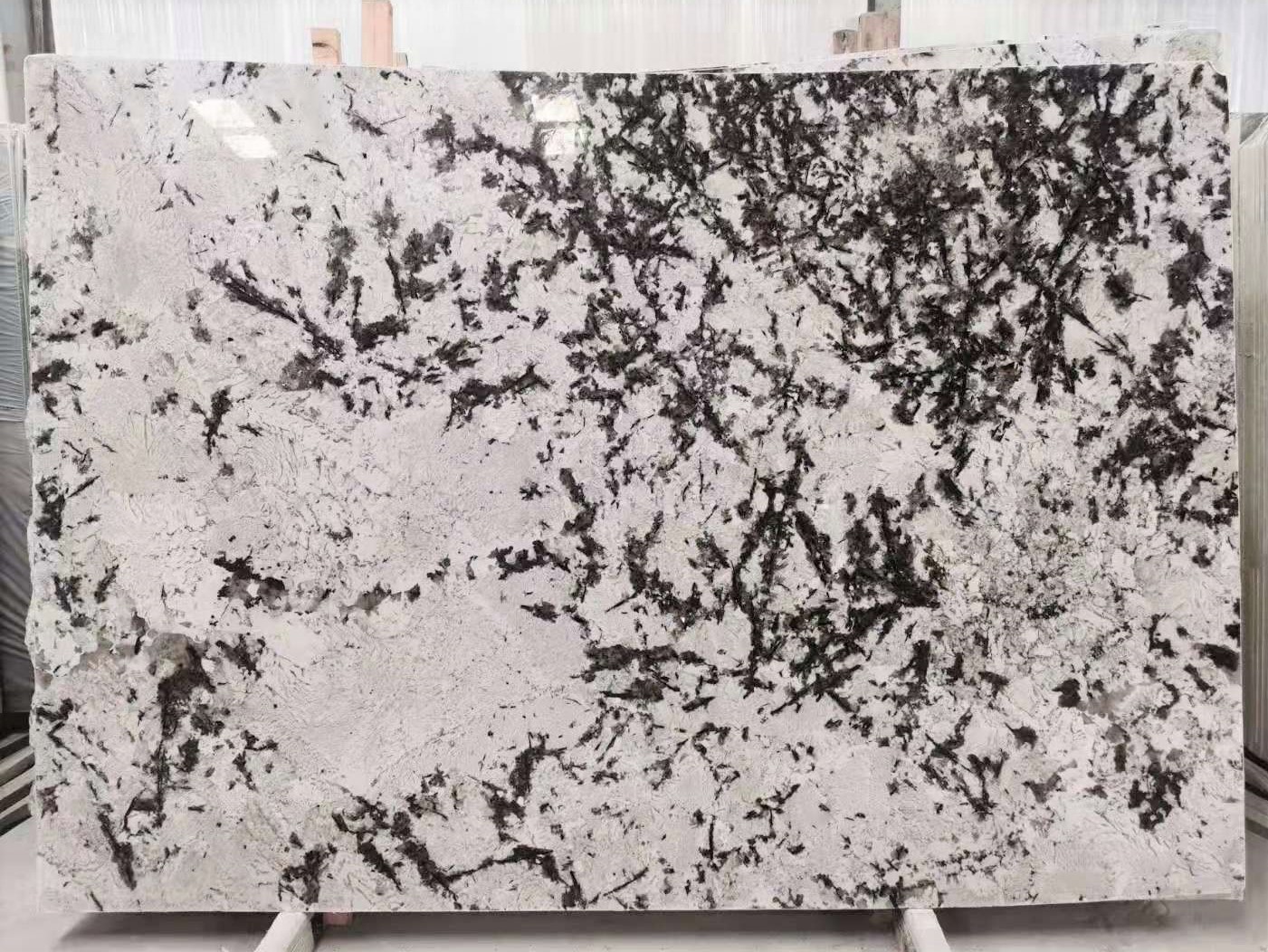 Brazil Alps White Granite Countertop Slab