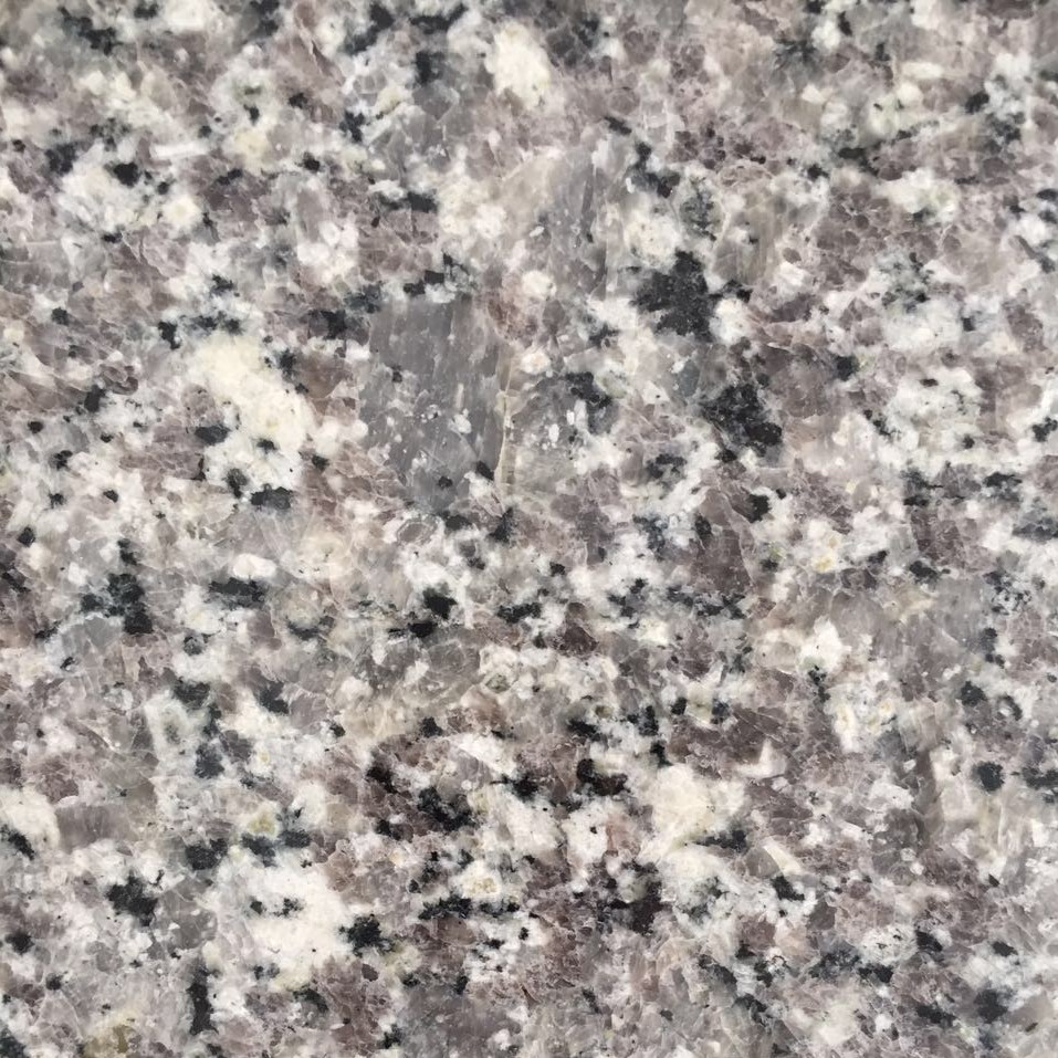 Swan White Granite
