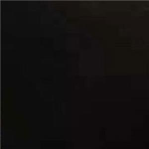 Absolute Black Marble