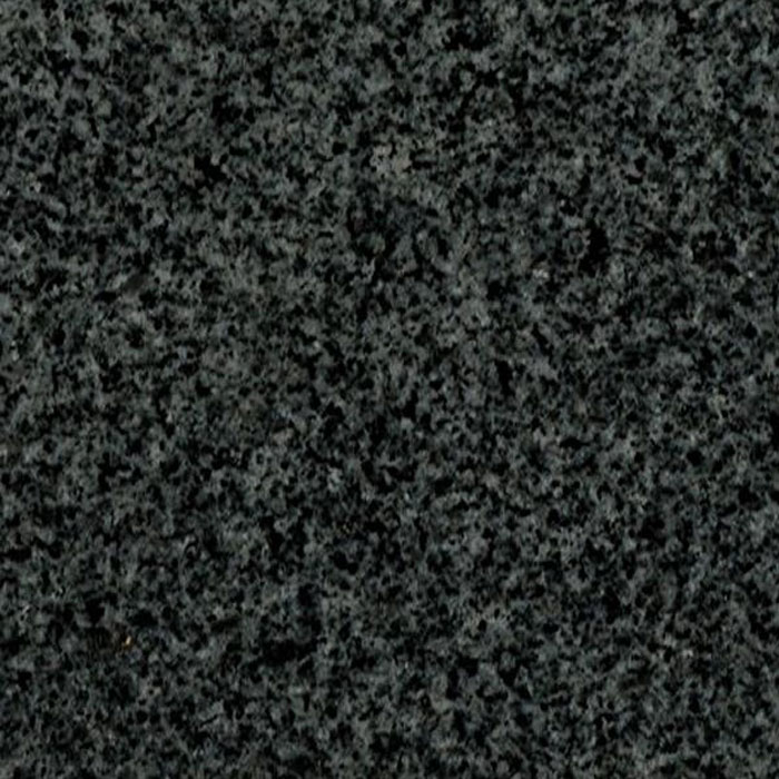China Padang Dark G654 Granite