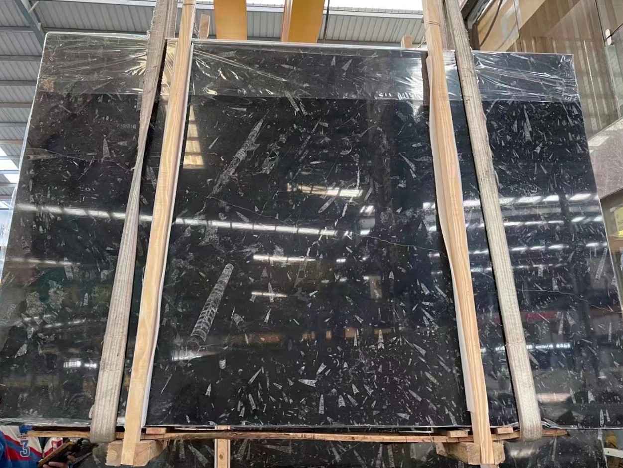 Morocco Fossil Black Marble