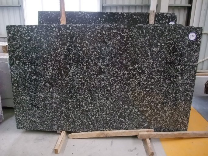 Black Shell Marble