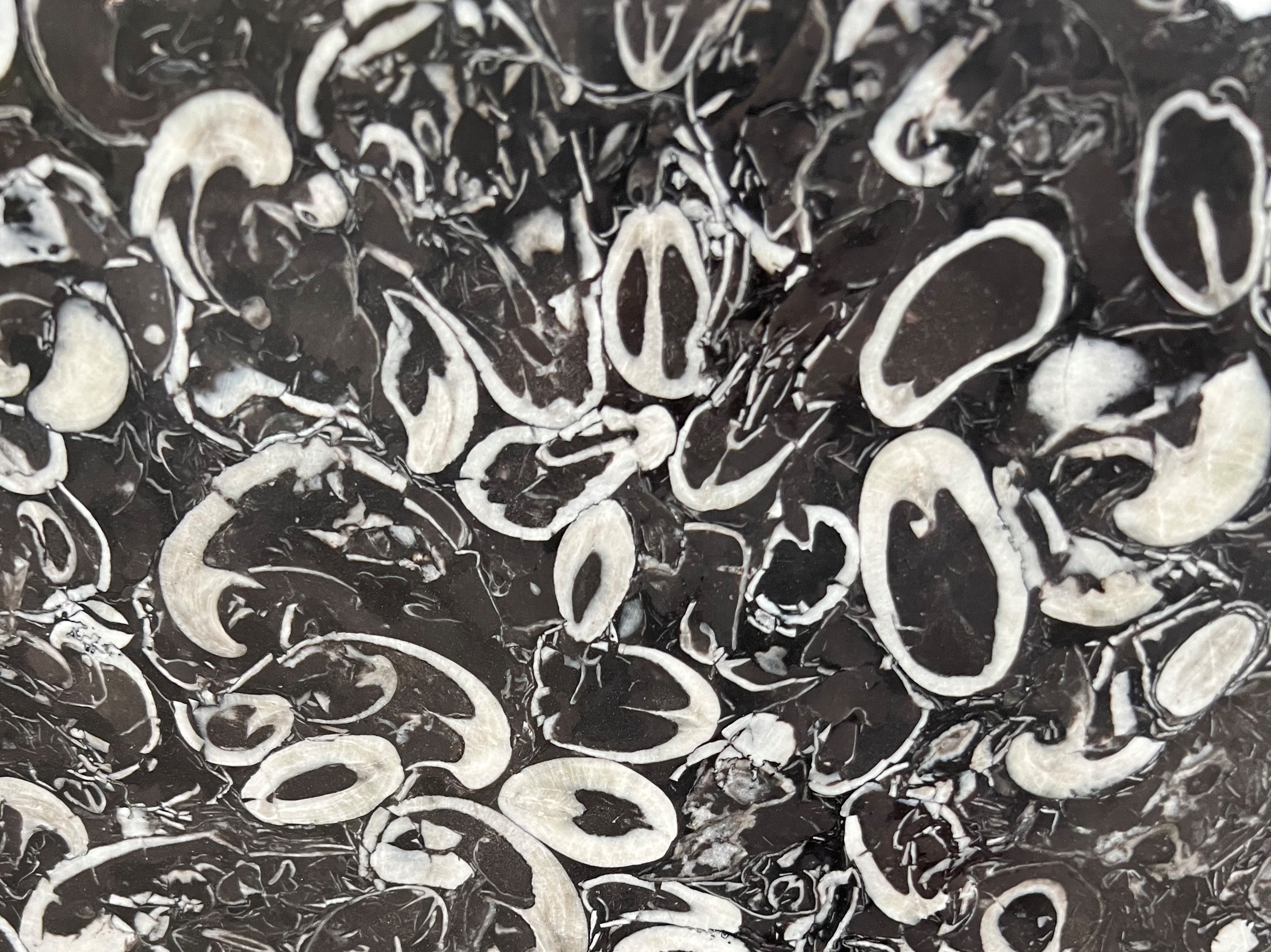 Black Shell Marble