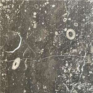 Atlas Grey Marble