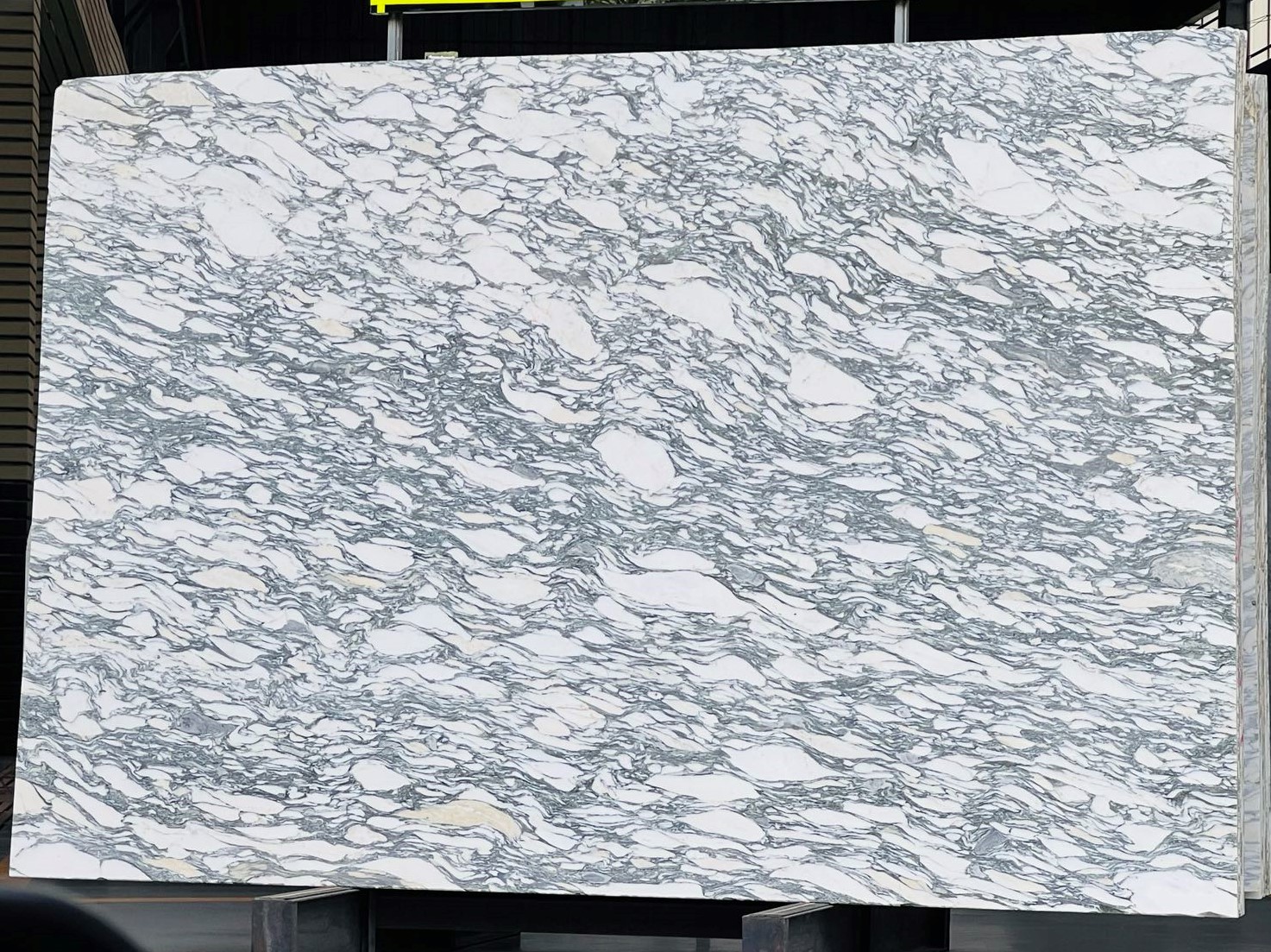 Arabescato Corchia Marble