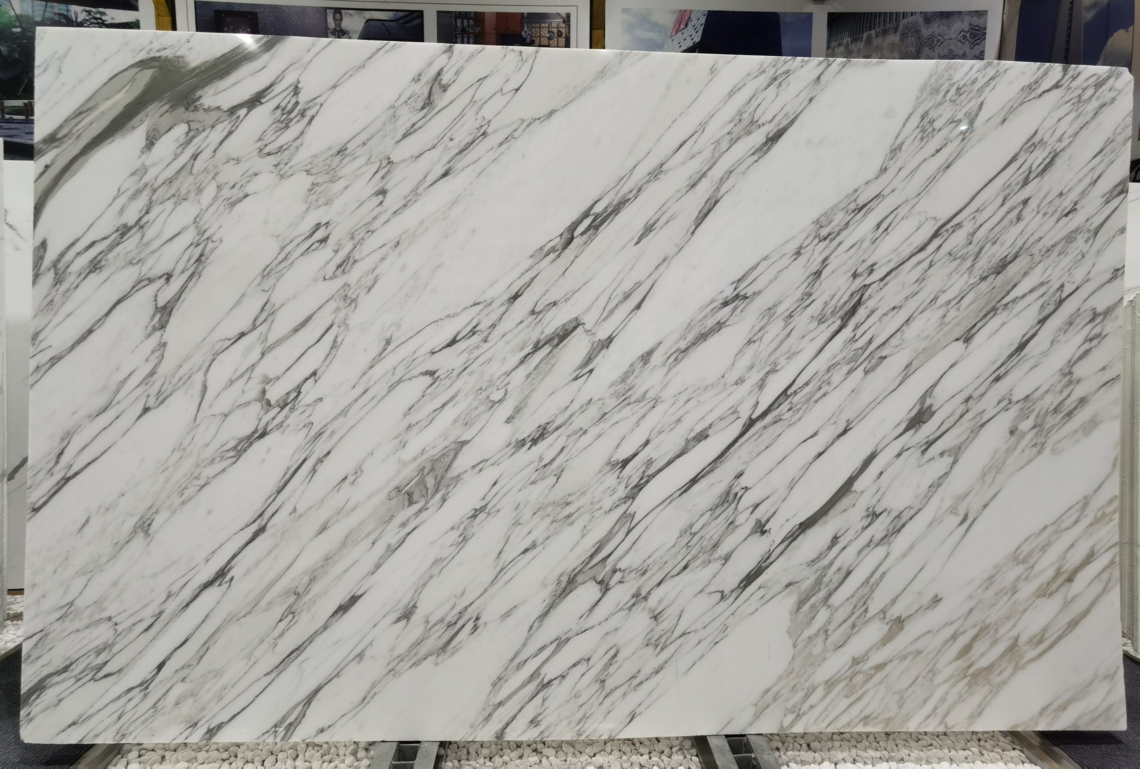 Arabescato Corchia Marble