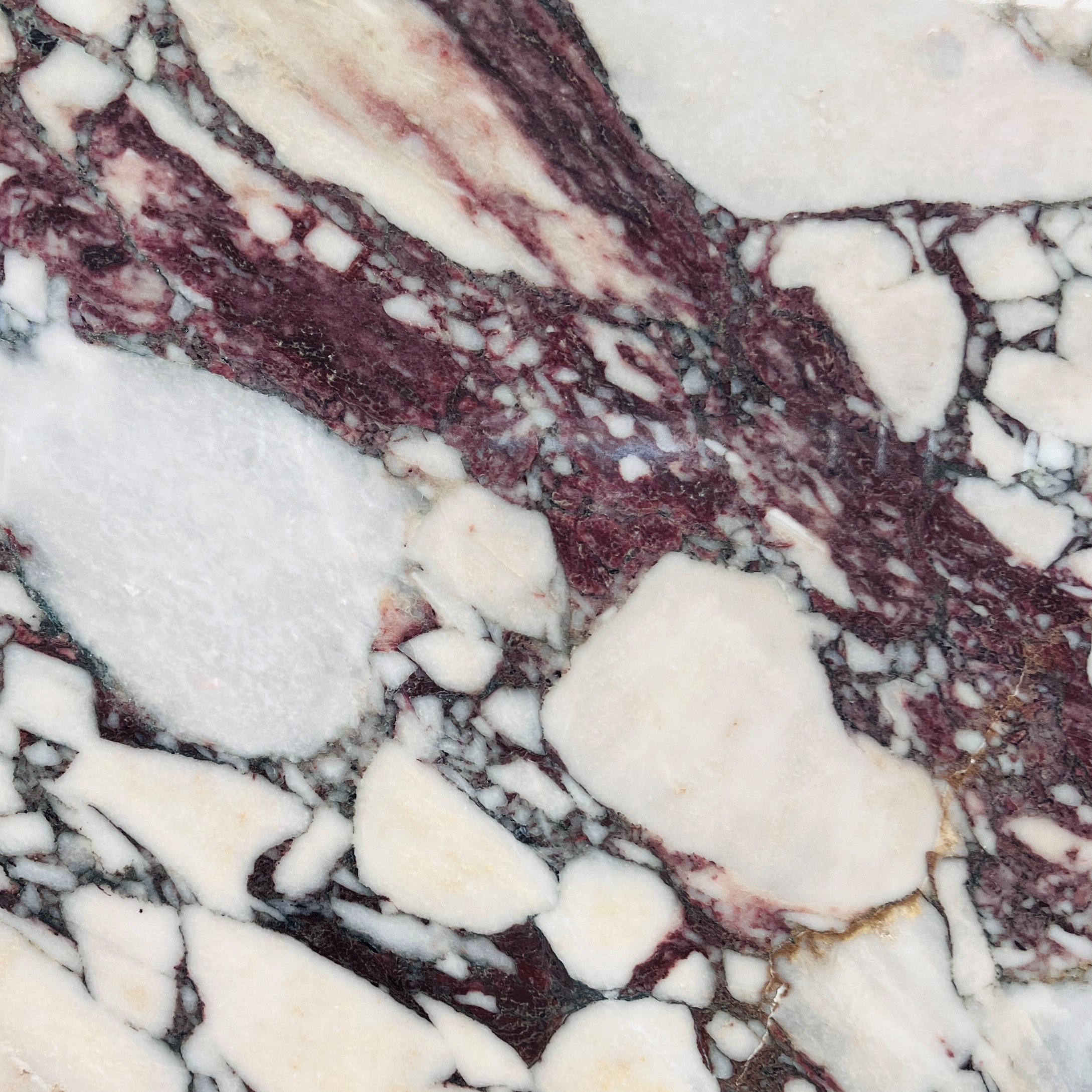 Calacatta Viola Marble