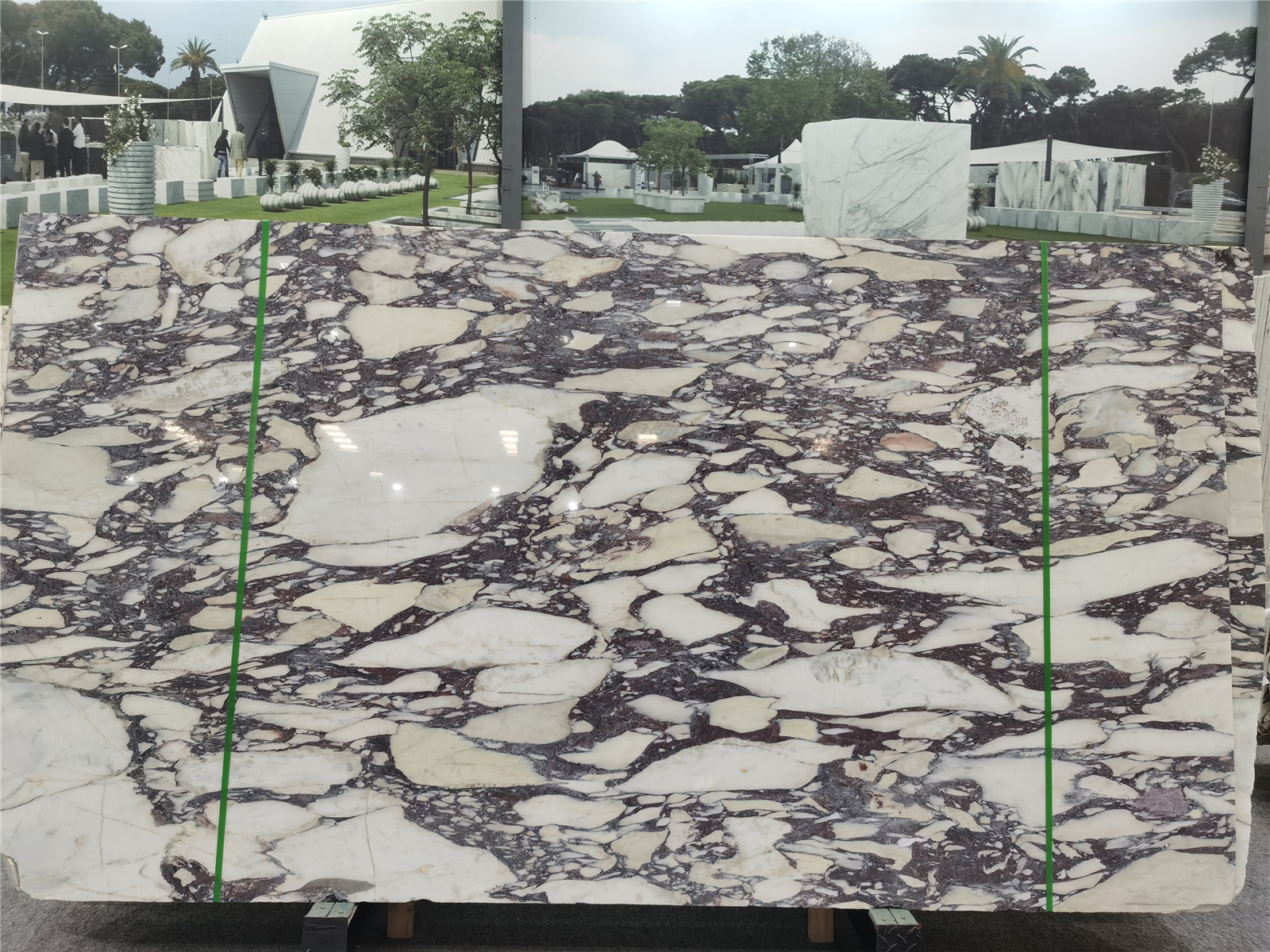 Calacatta Viola Marble