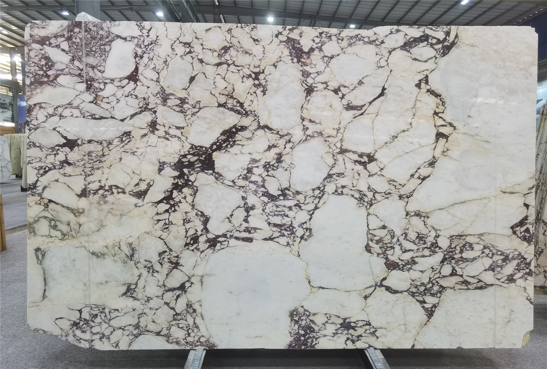 Calacatta Viola Marble