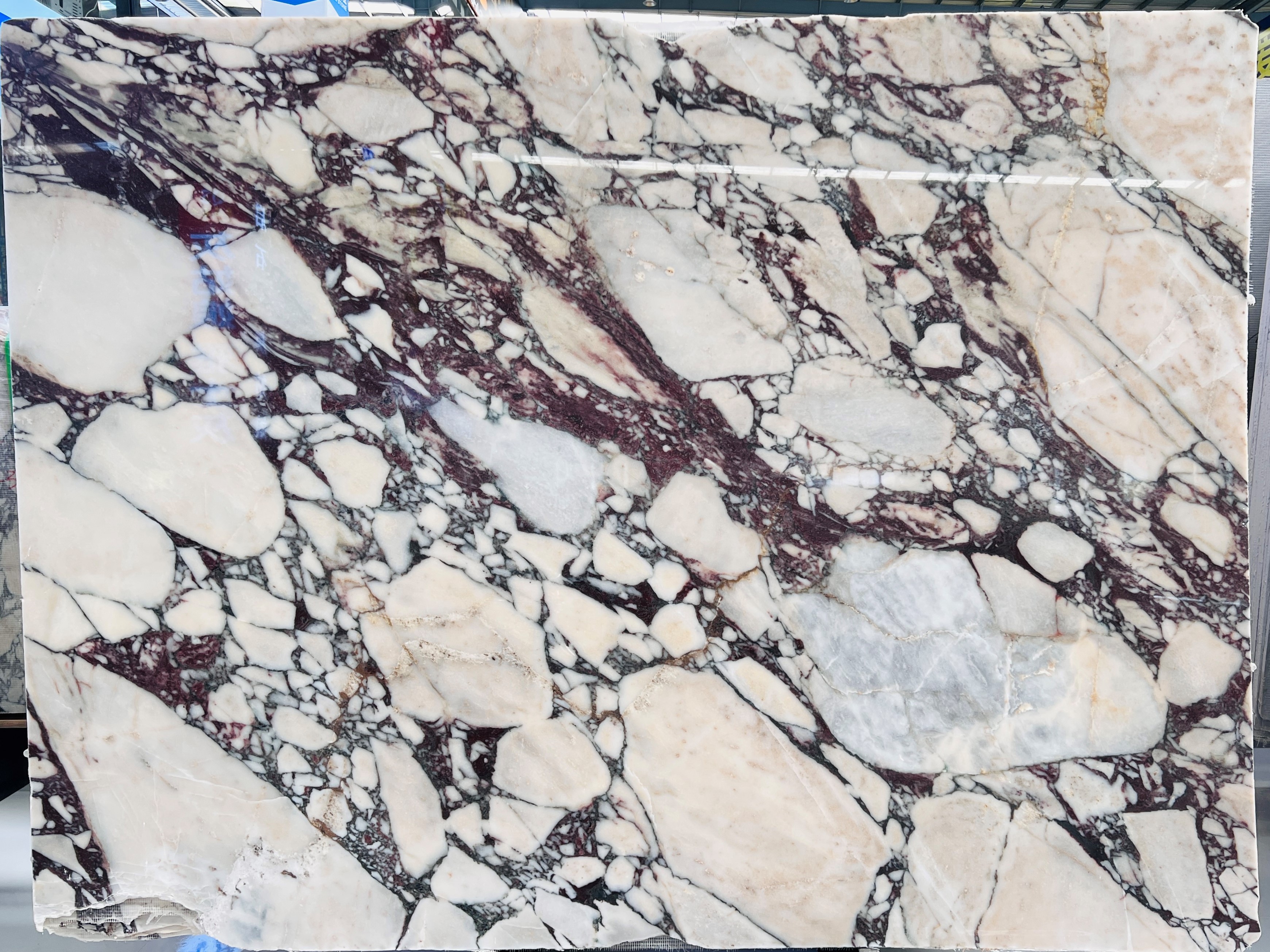 Calacatta Viola Marble