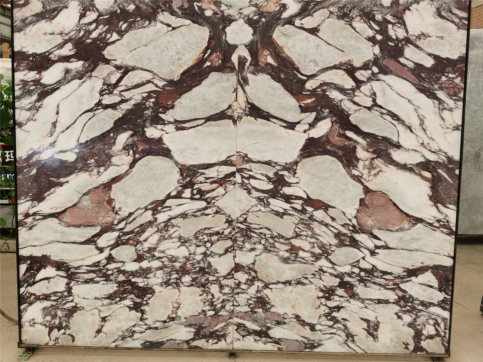 Calacatta Viola Marble