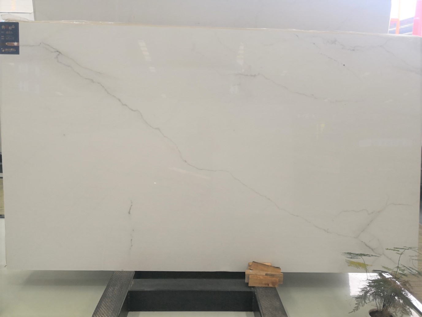 Calacatta Lincoln Marble