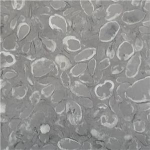 Fossil Grey Marble