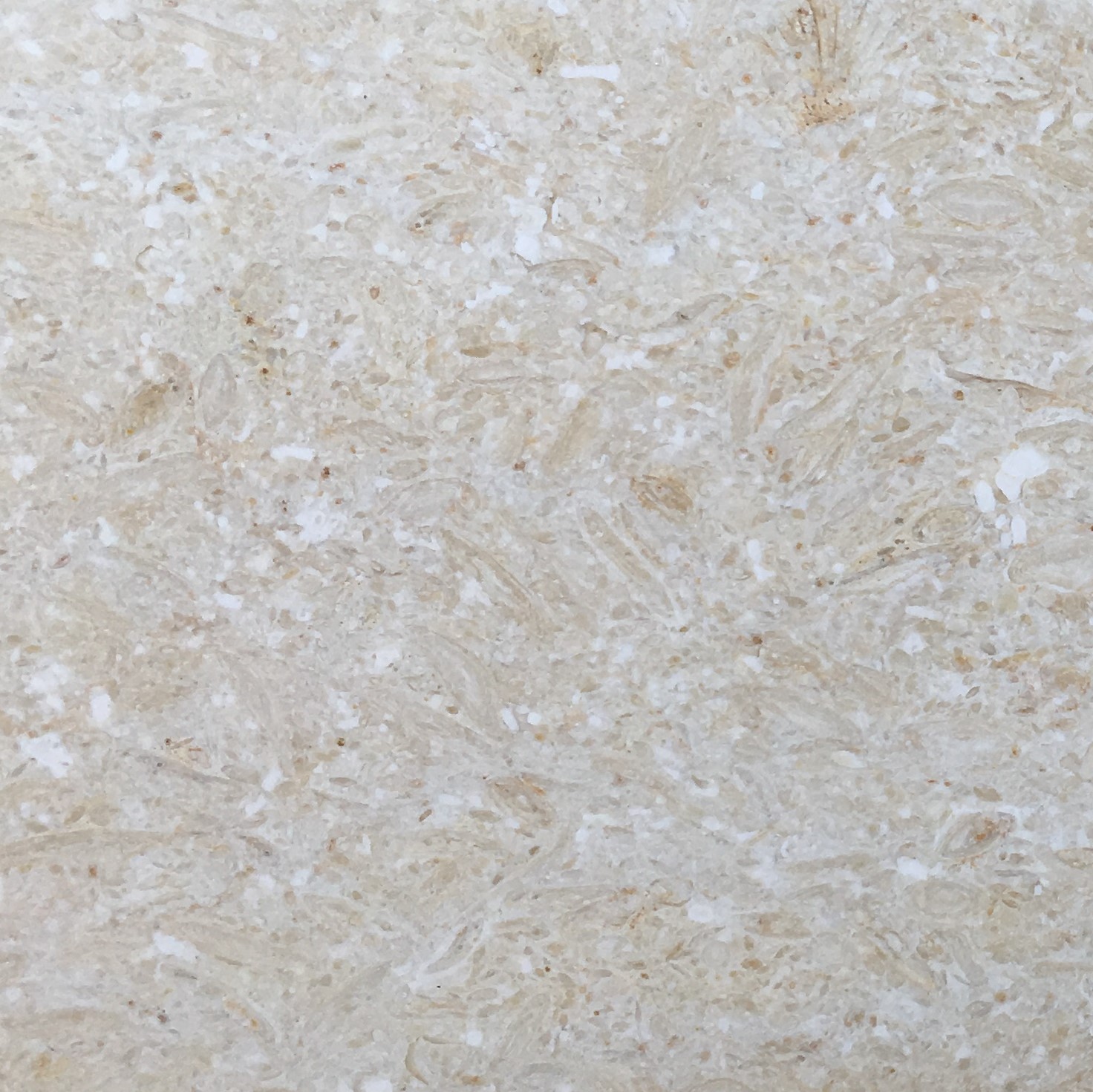 Samaha Beige Marble