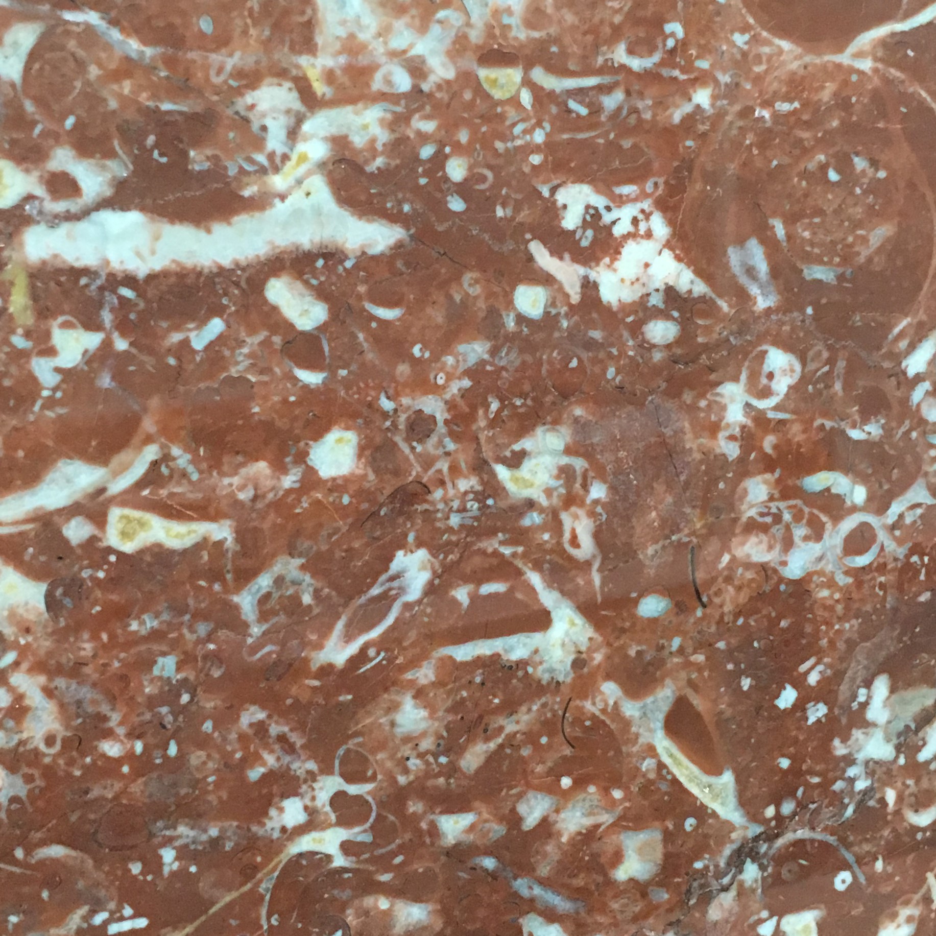 Rose Red Marble