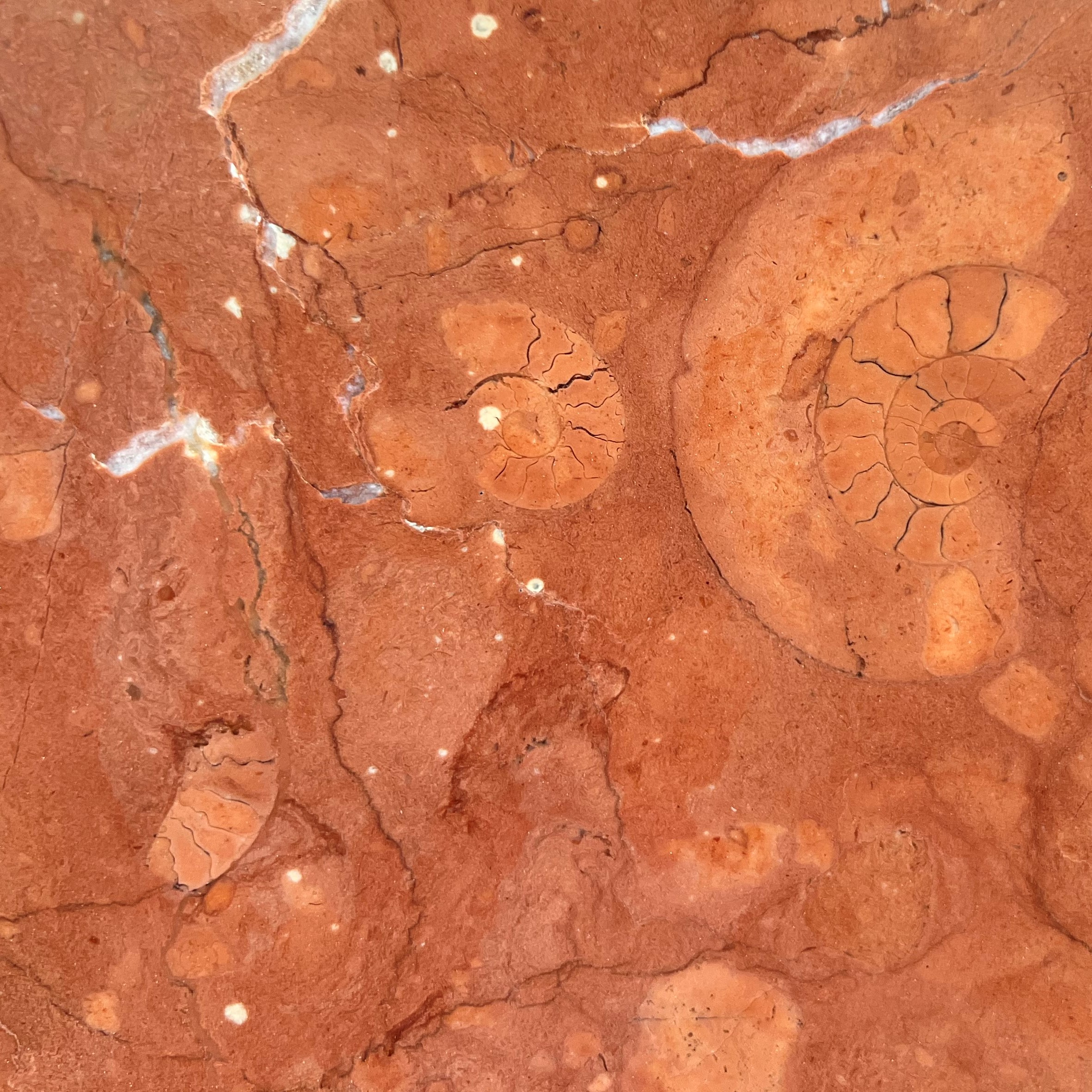 Rosso Alicante Marble