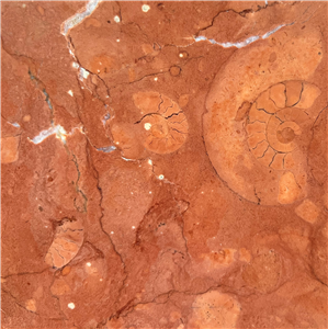 Rosso Alicante Marble